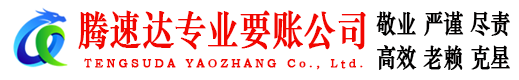 蒙阴腾速达要账公司
